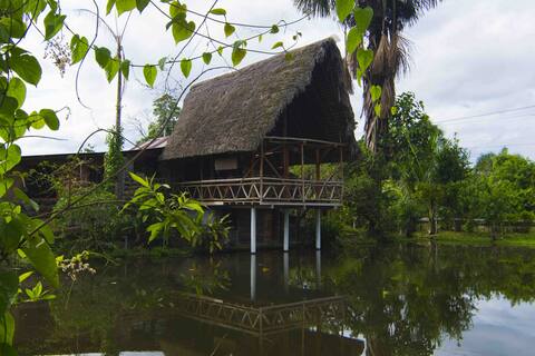 A family paradise in the jungle