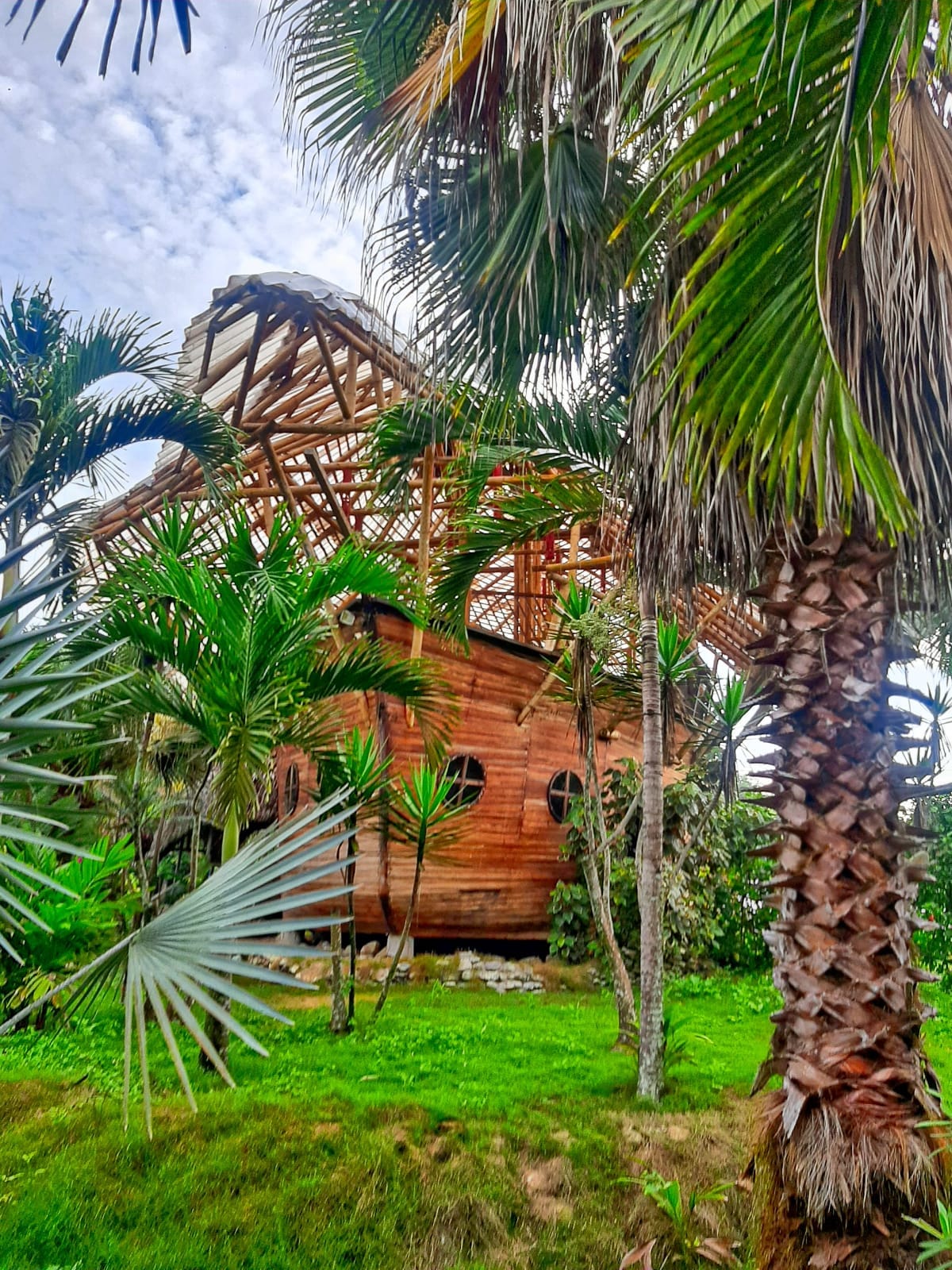 A wooden structure resembling a boat is surrounded by lush tropical greenery. Tall palm trees and dense plants frame the scene, while the unique architectural design features round windows that add character to the building. The natural setting conveys a serene atmosphere.
