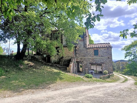Country House in Tuscany - Le Mucche