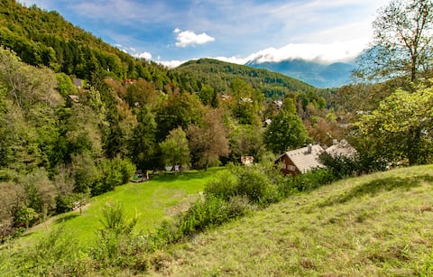Comfortable, big, scenic 5p apartment Bohinj Barn