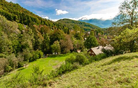 Comfortable, big, scenic 5p apartment Bohinj Barn