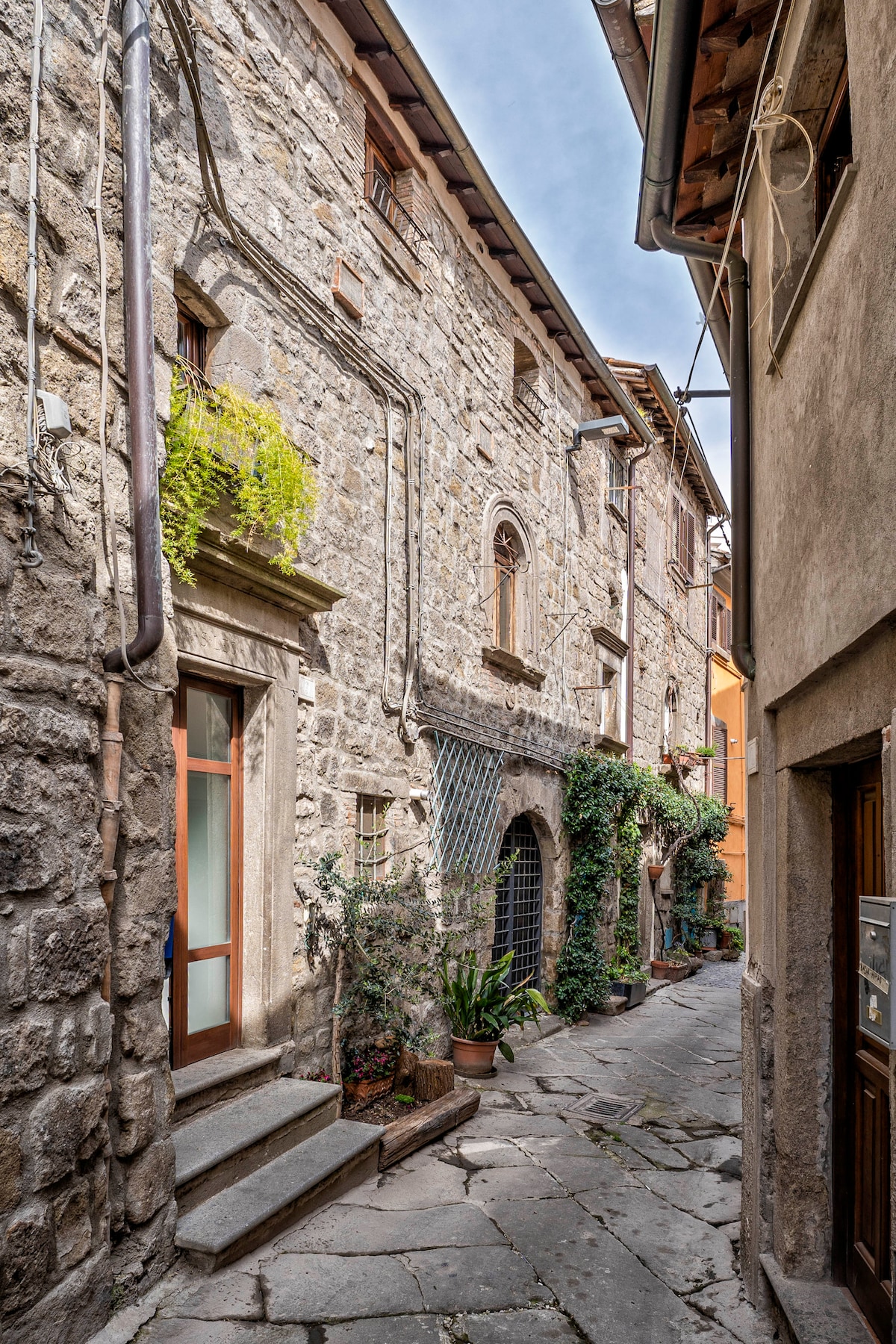A narrow, cobblestone alley is framed by weathered stone buildings. Lush greenery spills from pots, adding color to the scene. Soft light filters through windows adorned with rustic features, creating a sense of tranquility in this quaint Viterbo neighborhood.