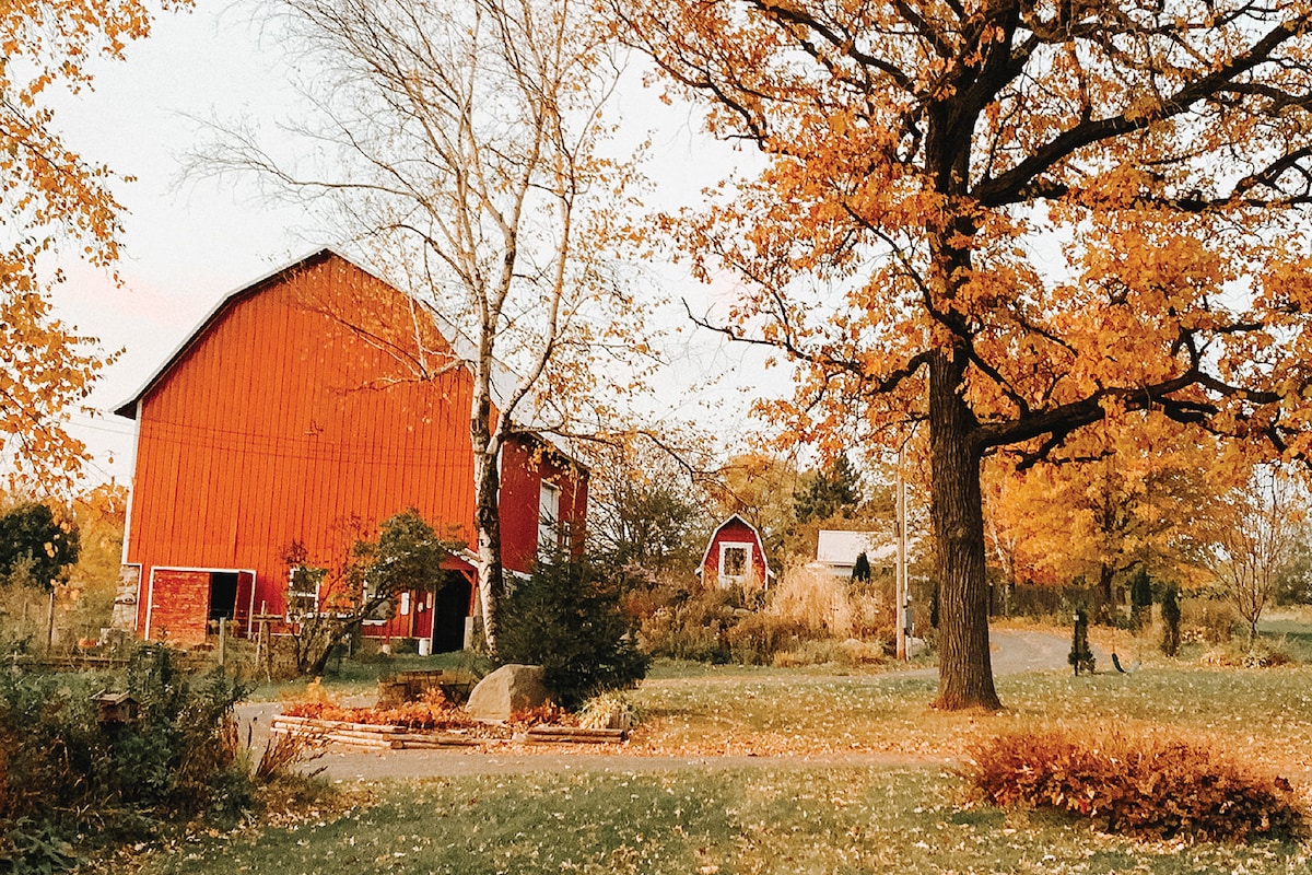 air b and b st croix