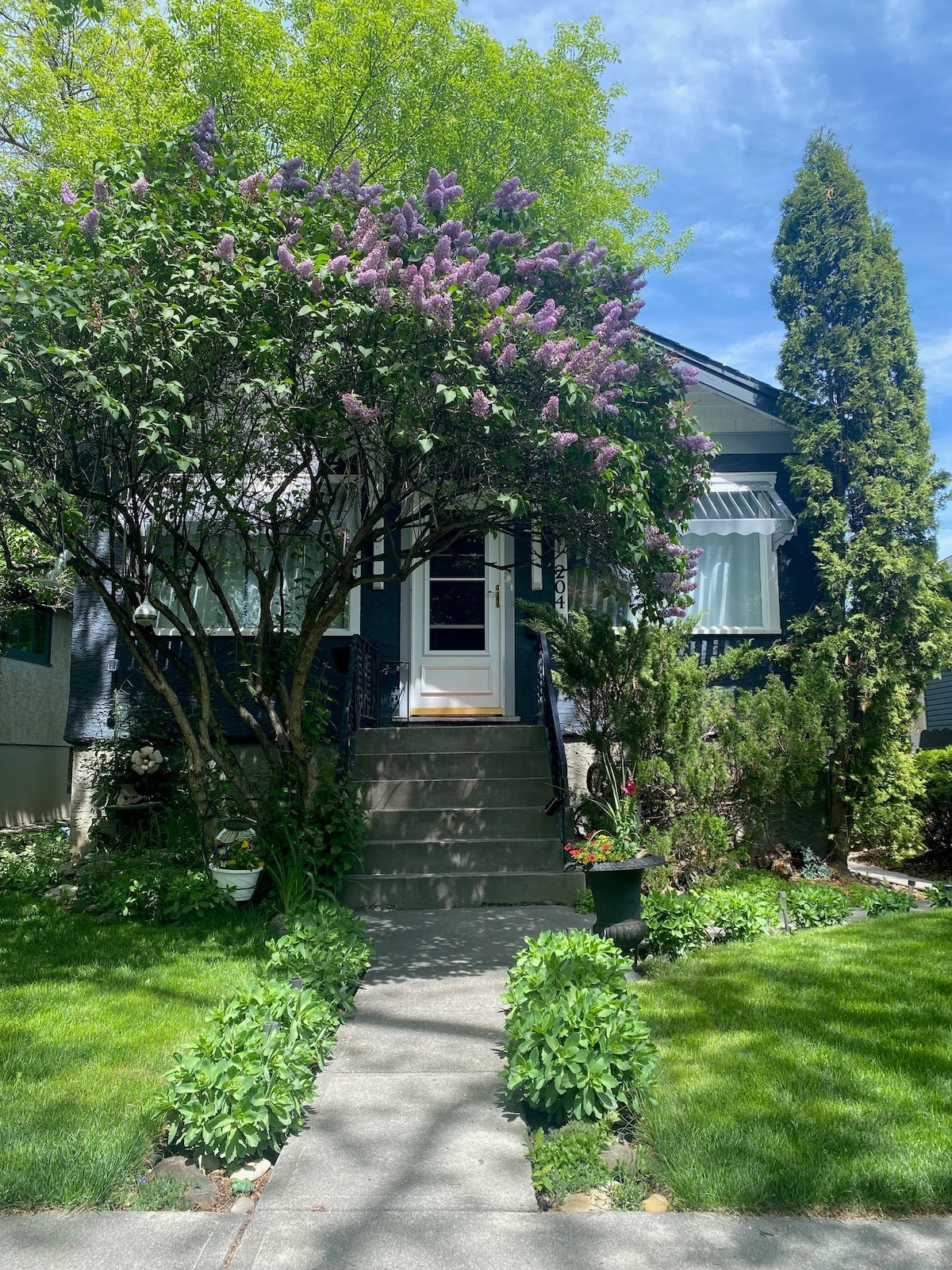 A charming front yard is framed by lush greenery and blooming lilac bushes. Stone steps lead to a welcoming entrance with a white door, flanked by large windows dressed in light curtains. Neatly manicured grass and flower beds enhance the outdoor appeal.