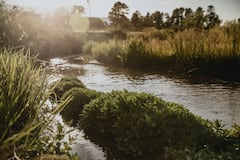 %27Sunshine%27+Premium+Glamping+Safari+Tent+w%2F+Hot+Tub