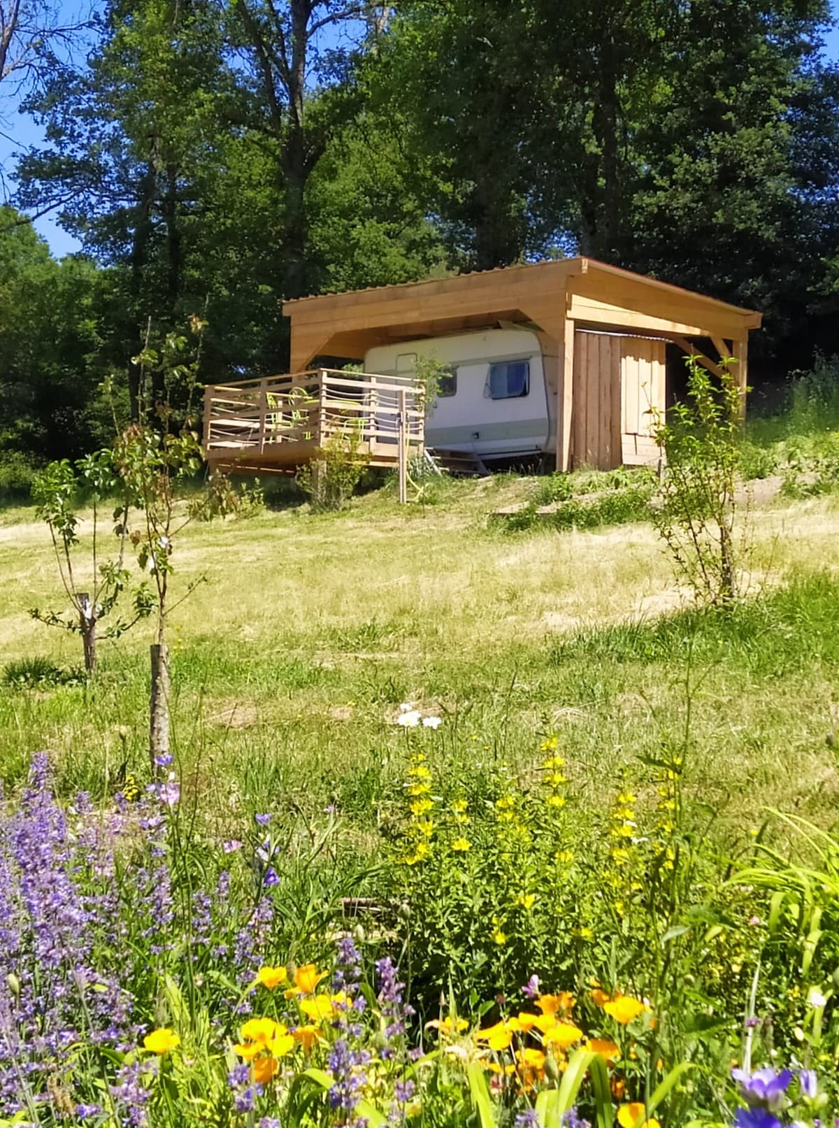 A stationary caravan is nestled under a wooden shelter, surrounded by greenery and colorful wildflowers. A wooden deck provides outdoor space, allowing for relaxation in a natural setting. The bright blue sky complements the serene atmosphere of the location.