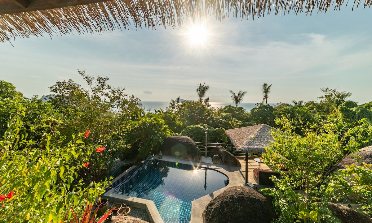 A serene outdoor space features a shimmering pool surrounded by lush greenery and large rocks. Tropical plants and flowers enhance the natural setting, while a thatched-roof structure offers shaded seating. The ocean can be seen in the distance under a bright sun.