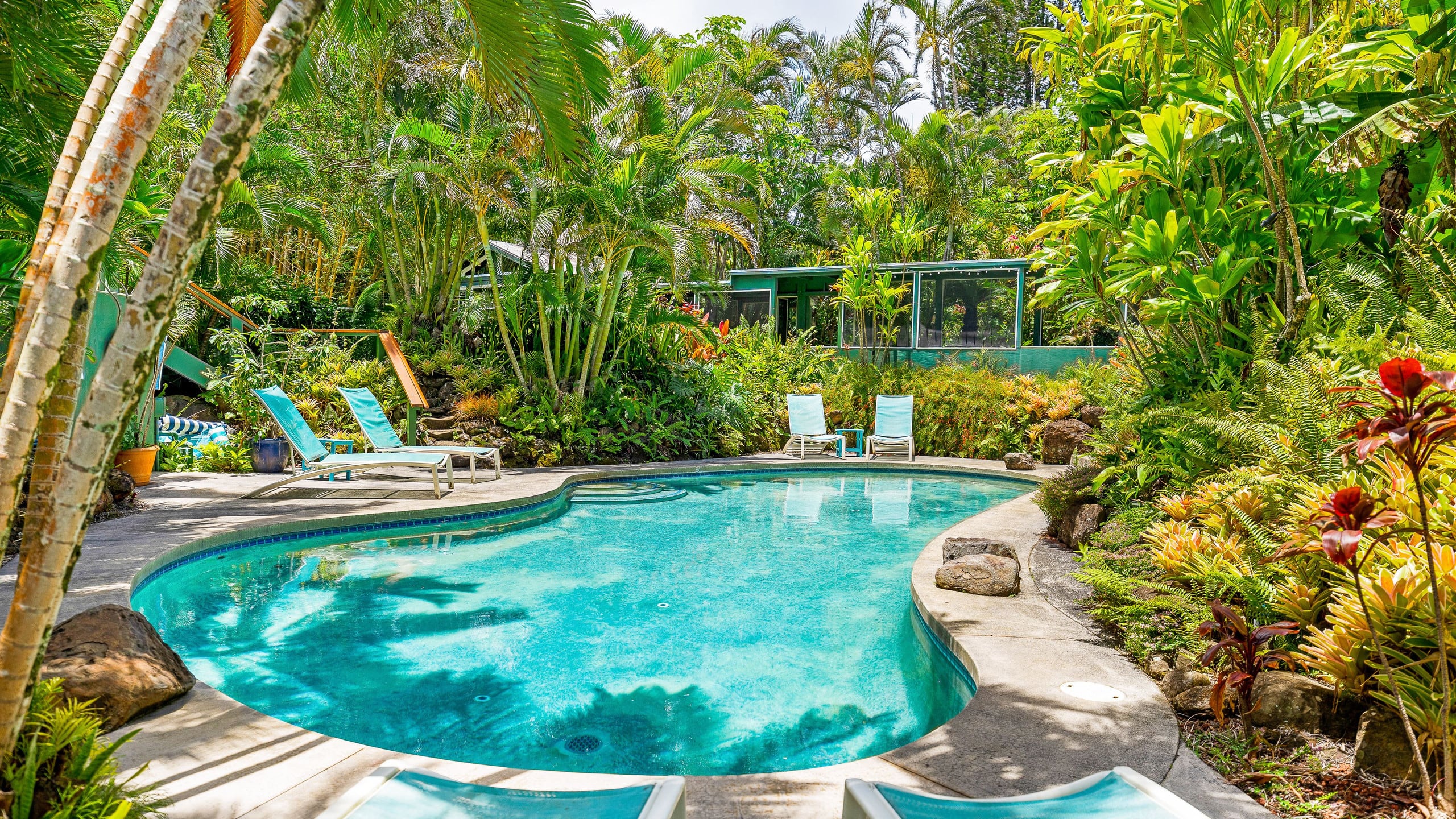Home in Haiku · ★4.96 · 1 bedroom · 2 beds · 1 bath - Photo 38