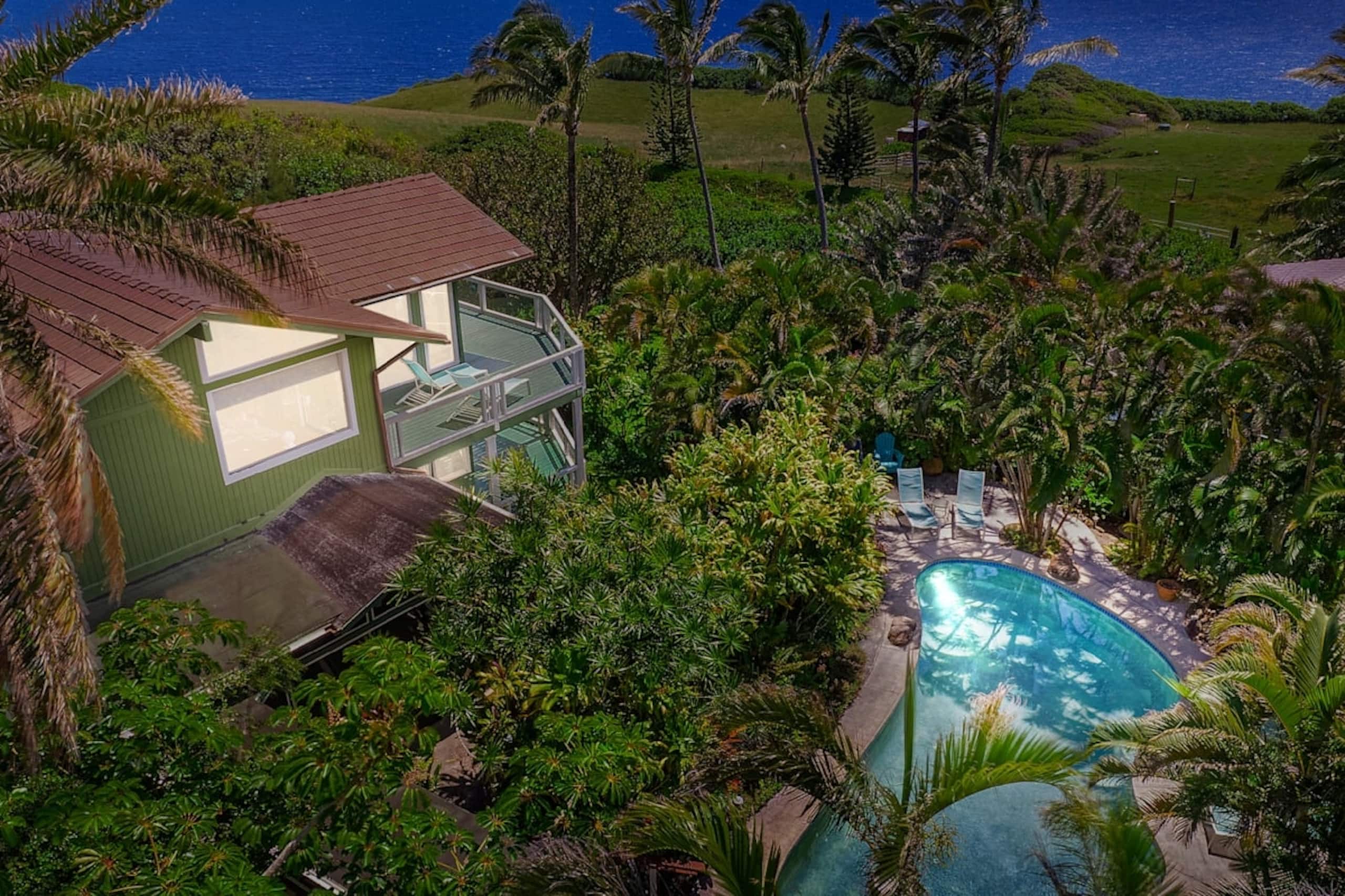 Home in Haiku · ★4.96 · 1 bedroom · 2 beds · 1 bath - Photo 40