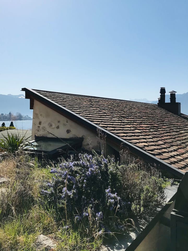 Studio with terrace on the Lake
