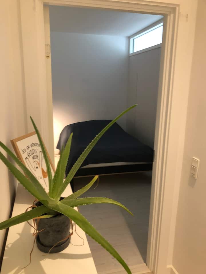 Ambas habitaciones del departamento están equipadas con camas dobles: ancho 140 centímetros.