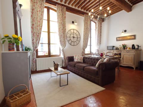 Top performing Airbnb: Cent Cinq Apartment One - in the heart of Apt in Apt