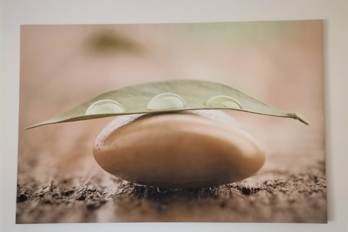 A large print features a smooth stone topped with a green leaf, which holds three droplets of water. The background is softly blurred, creating a serene and natural atmosphere. The colors are muted, with earthy tones dominating the scene.