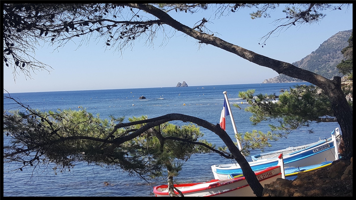 Saint Mandrier Sur Mer évènements à Venir Saint-Mandrier-sur-Mer : locations de vacances et logements -  Provence-Alpes-Côte d'Azur, France | Airbnb