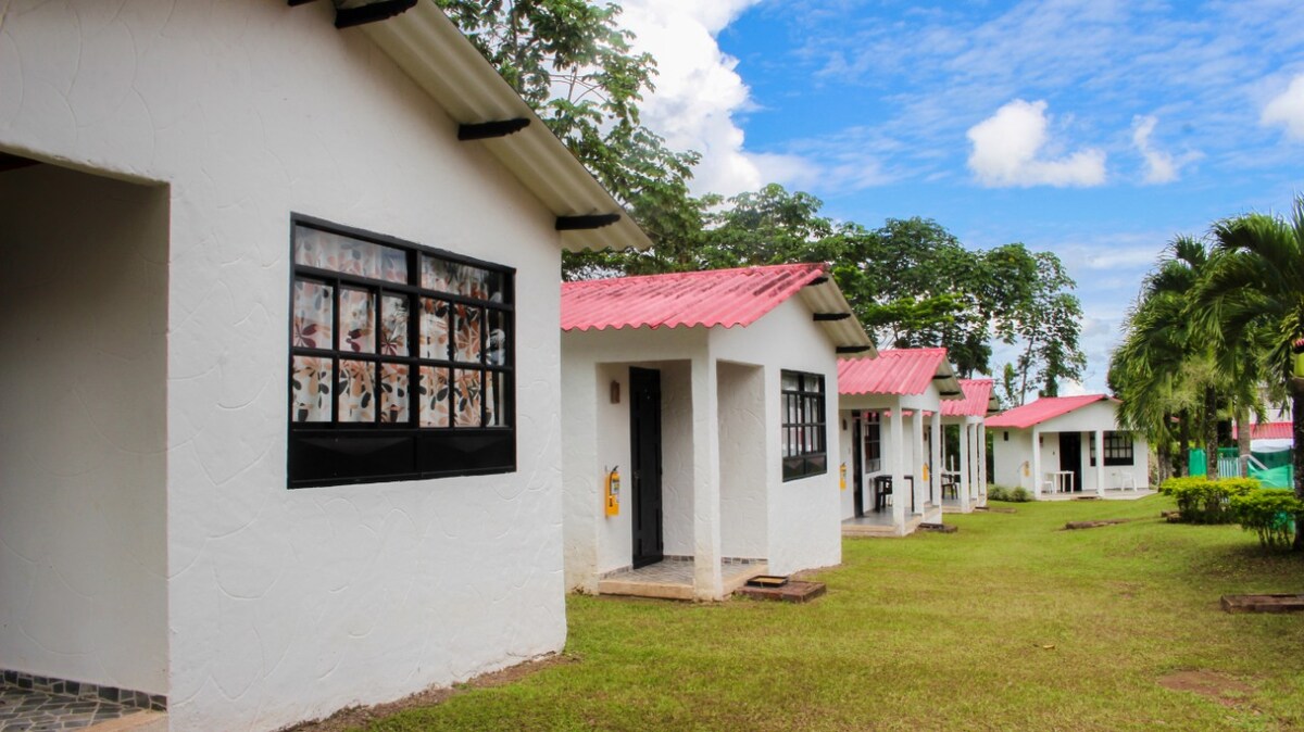 A row of charming white cabins with red roofs is set in a green landscape. Each cabin features large, framed windows that allow natural light to illuminate the interiors. Lush trees and a clear blue sky provide a refreshing backdrop.