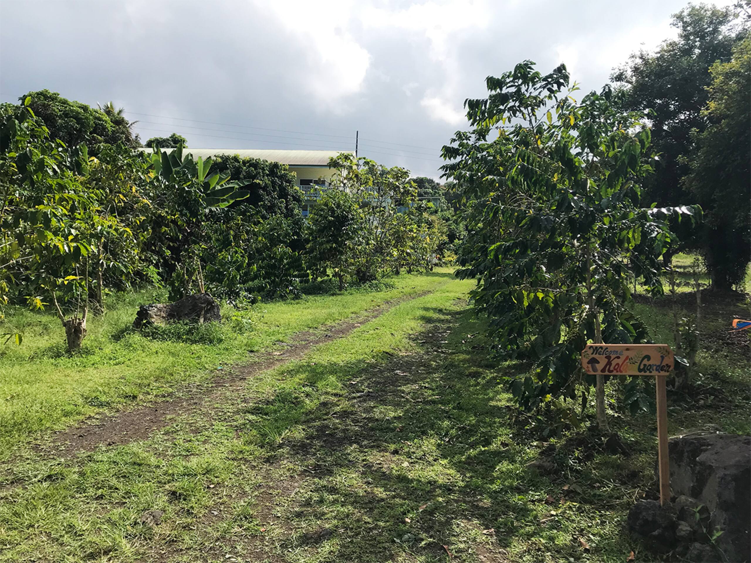 Home in Kailua-Kona · ★4.93 · 1 bedroom · 3 beds · 1 private bath - Image 19