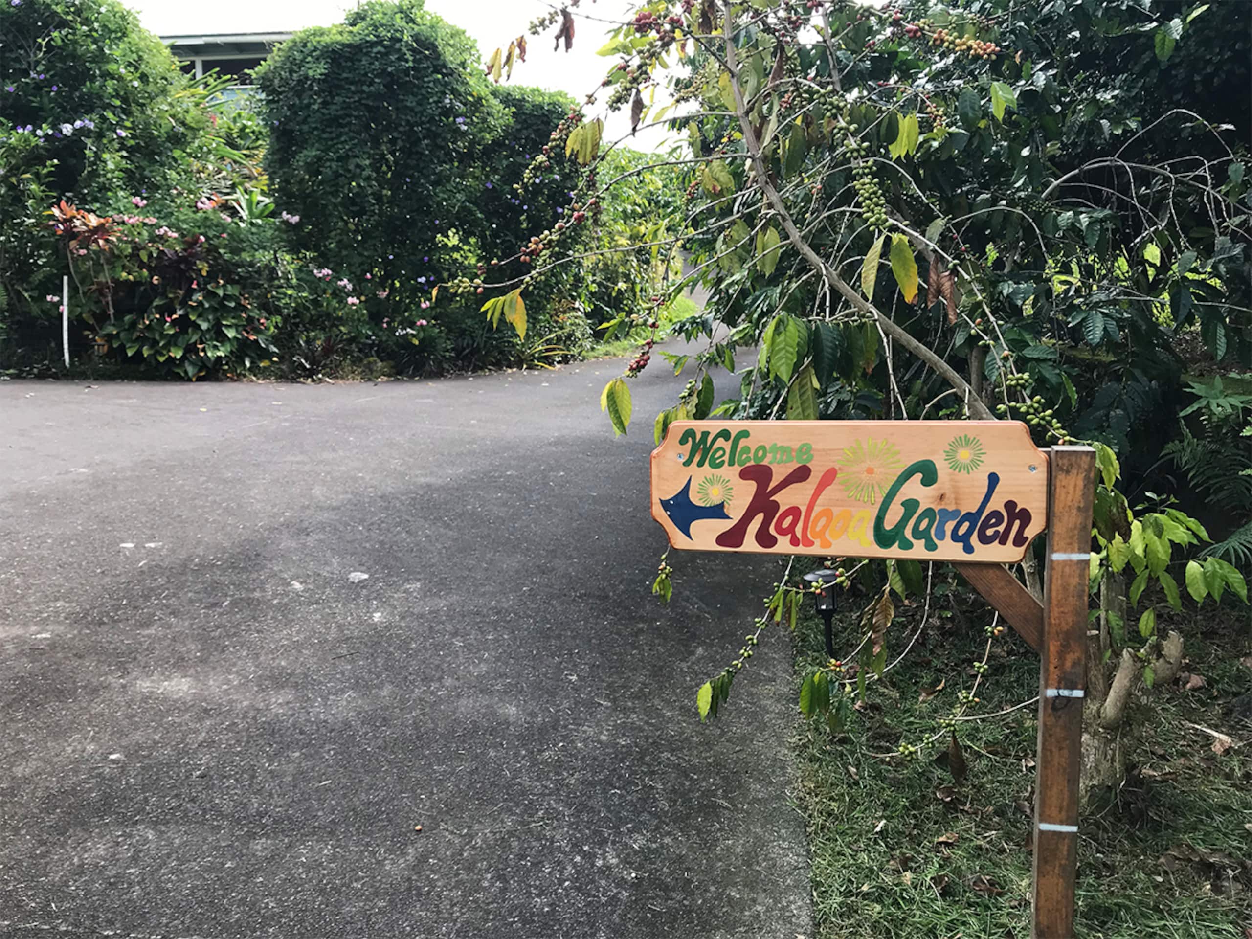 Home in Kailua-Kona · ★4.93 · 1 bedroom · 3 beds · 1 private bath - Image 20
