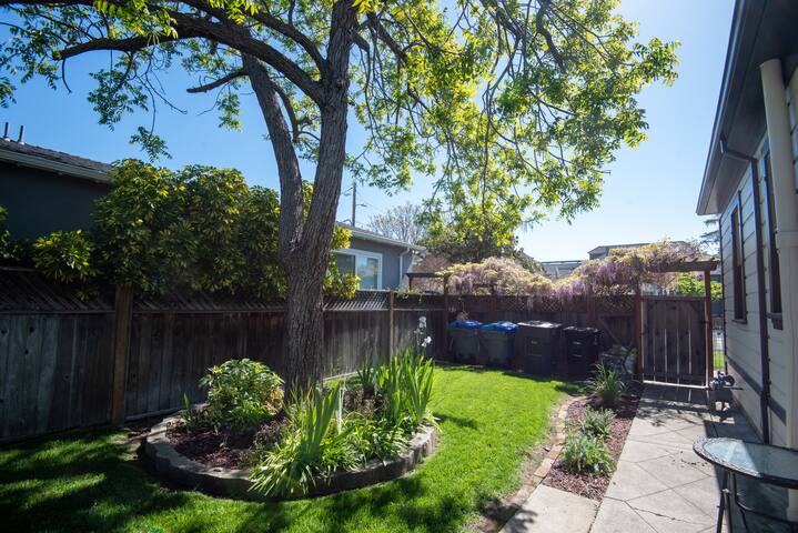 Historic Downtown Mtn View Home gallery image 3