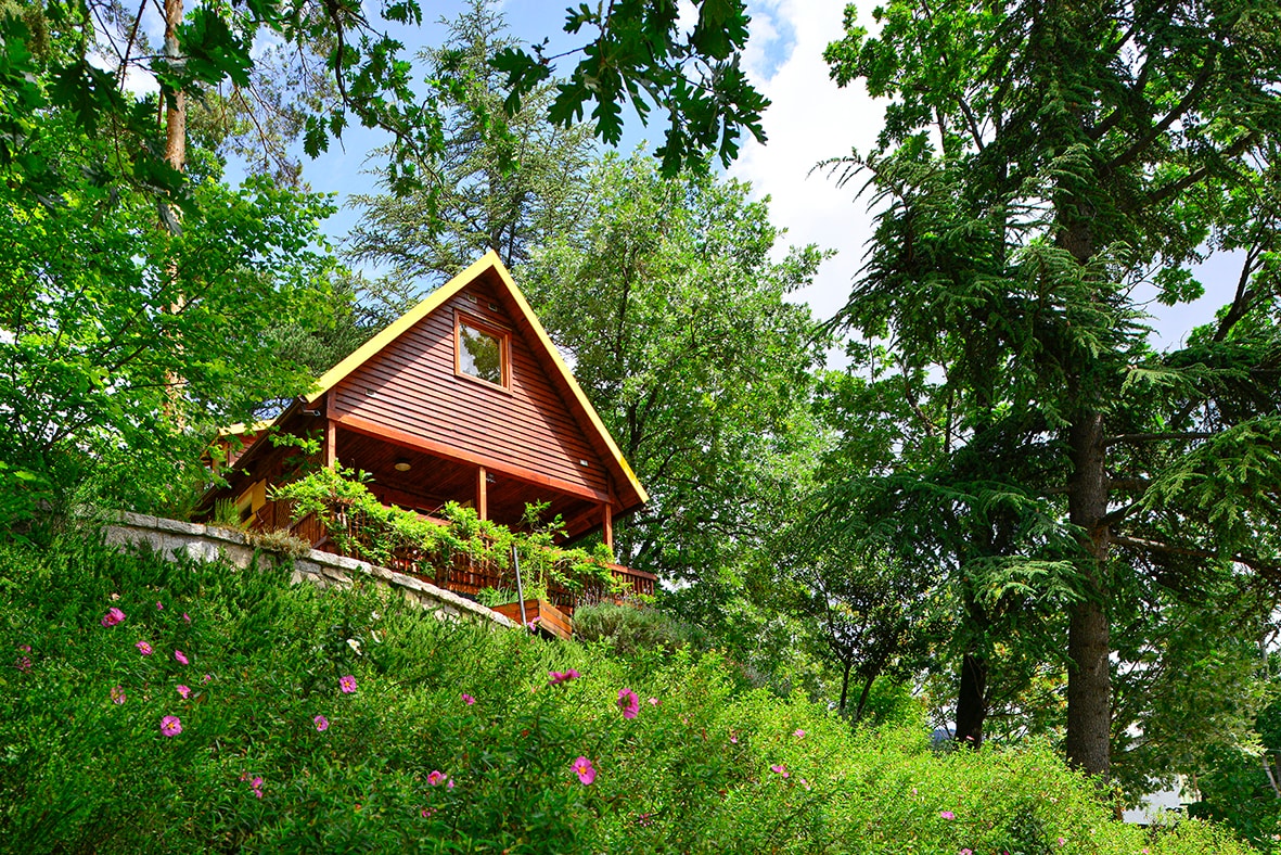 A charming cabin built from wood and stone is nestled among lush greenery. The sloped roof and balcony are surrounded by vibrant trees and blooming flowers, creating a serene and natural environment.