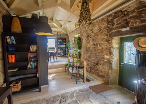 Stone house: wine with books, dogs and routes