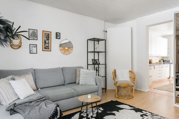 Divani i krevatit mund të mbajë më shumë se një dhe mund të tërhiqet lehtësisht në një hapësirë gjumi për dy persona. Ka depo brenda pjesës së divanit të divanit.