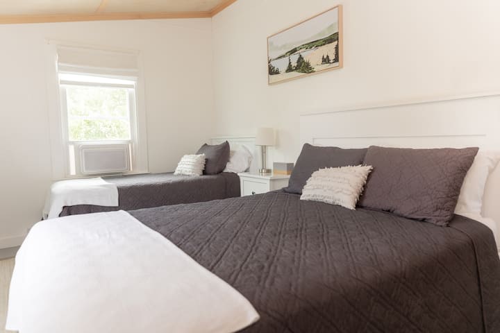 Downstairs large bedroom (1 queen and 1 twin)