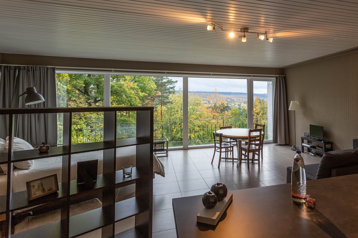 Successful Airbnb property: Studio with a stunning view in Spa in Spa