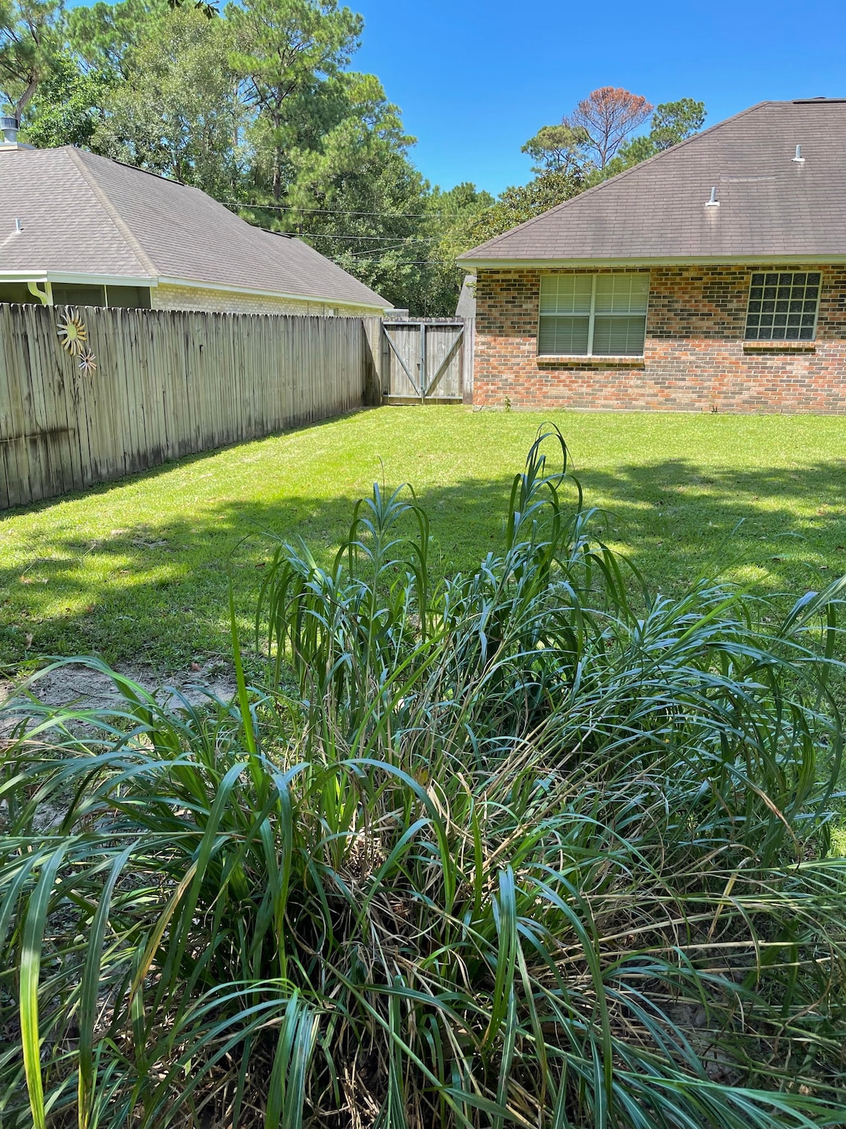 A well-maintained backyard is featured, showcasing a grassy area bordered by lush green plants. A wooden fence offers privacy, while a brick wall structure is visible in the background. A gate leads to additional outdoor space.