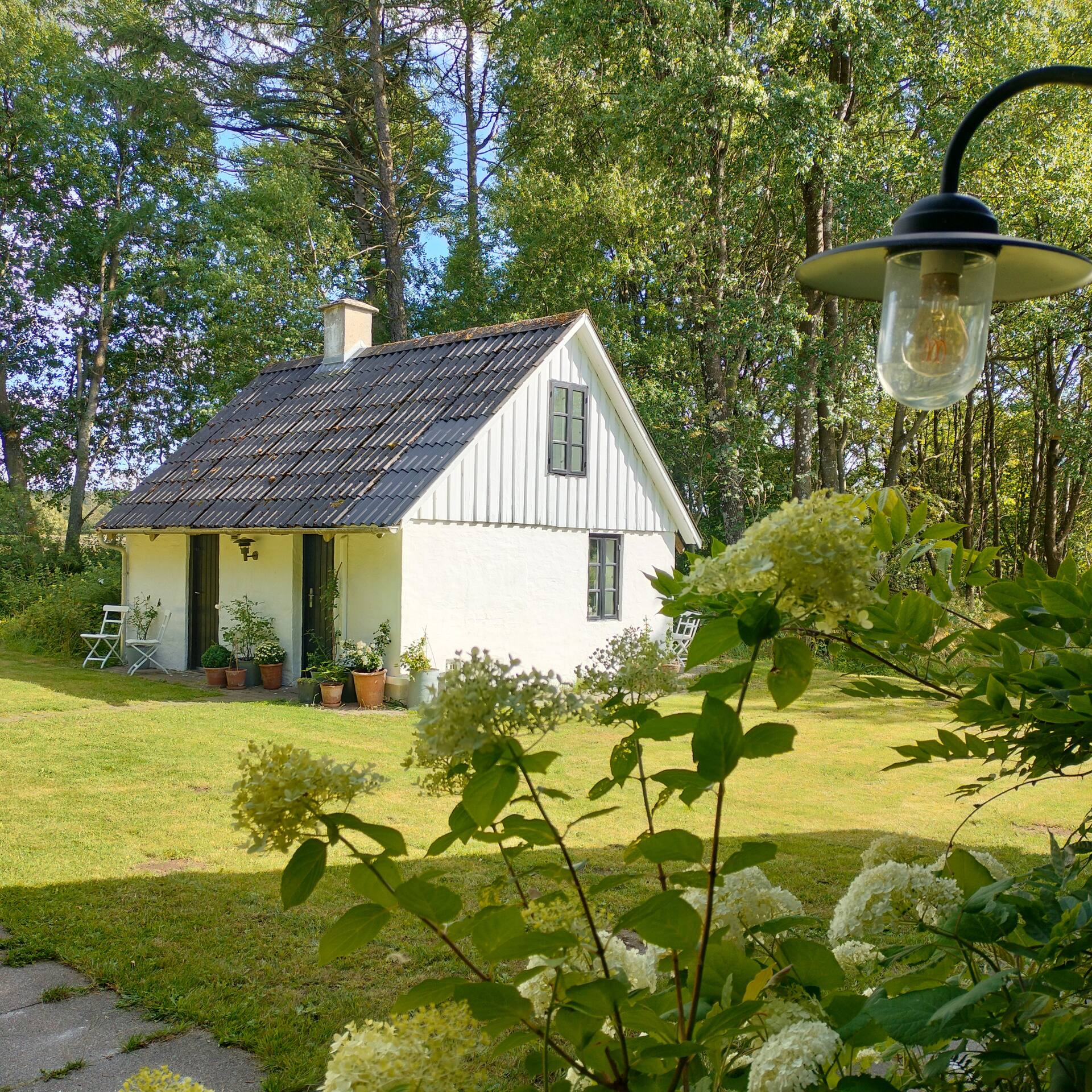 Little Red Riding Hood's House - hidden in the deep, quiet forest