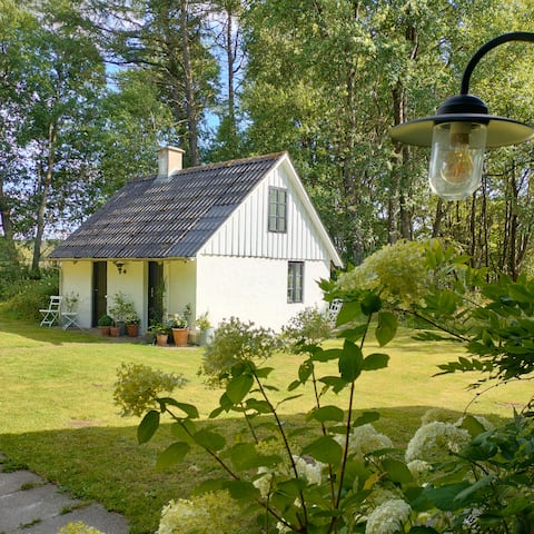 Little Red Riding Hood's House - hidden in the deep, quiet forest
