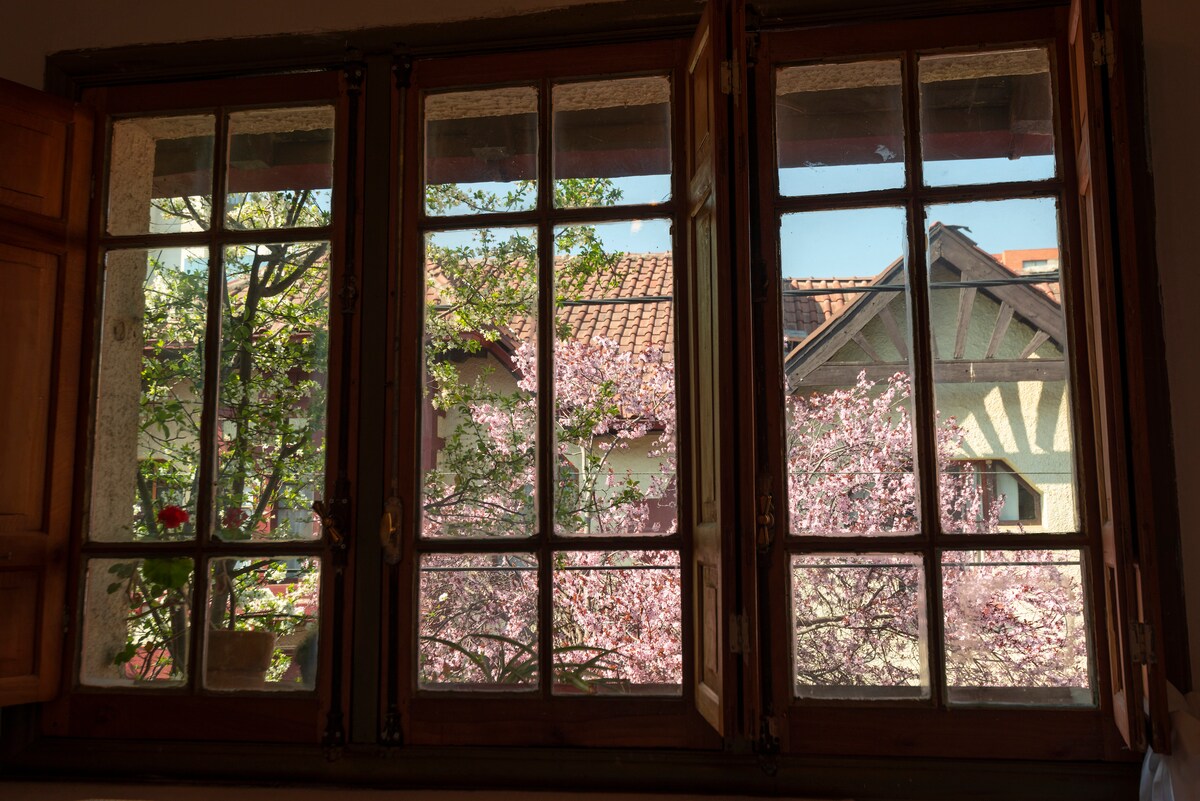 A window with multiple panes frames a view of blooming cherry trees outside, providing a splash of pink against the backdrop of architectural details from neighboring houses. Natural light fills the space, brightening the surrounding room.