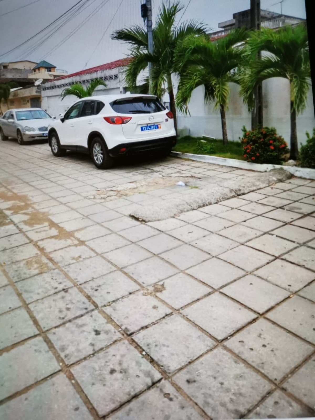 A well-maintained residential street features a white vehicle parked alongside a gray car. Lush palm trees and low shrubbery with orange flowers enhance the curb appeal. The pavement is composed of square tiles, demonstrating a neat and organized layout.