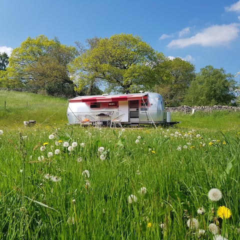 Popular Airbnb listing: Vintage 1972 Airstream, Matlock Crich & Cromford in Matlock Town