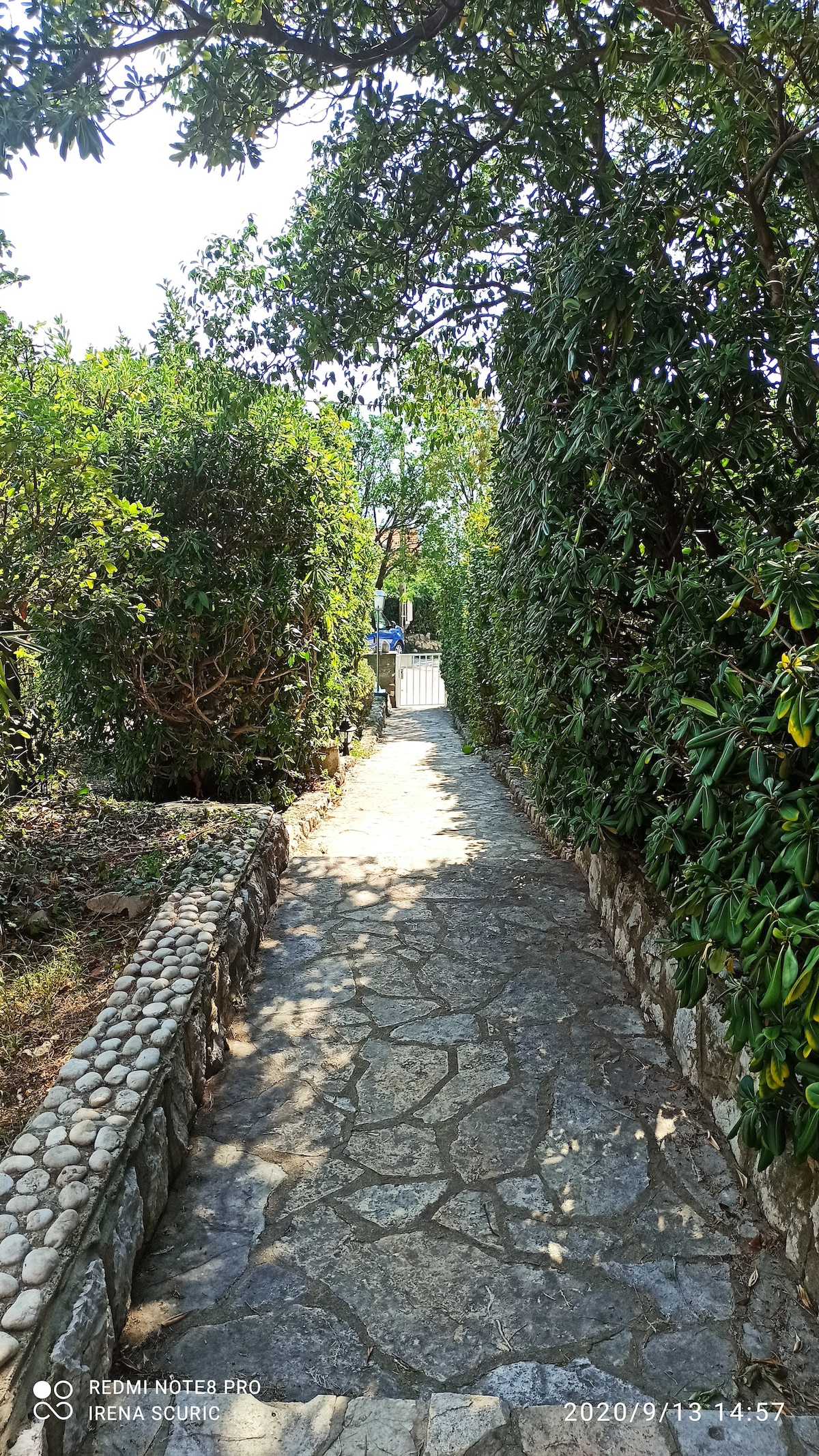 A stone pathway is framed by lush greenery on both sides, leading toward a gate. The pathway features smooth stones, providing a natural aesthetic. The surrounding plants create a serene atmosphere, suggesting a peaceful approach to the home.