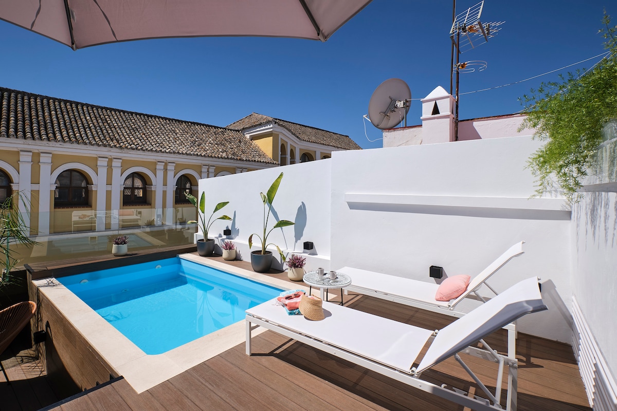 A private terrace features a small swimming pool with lounge chairs adjacent to it. Potted plants are arranged along the perimeter, and a shaded area is provided by an umbrella. The surroundings consist of traditional architectural elements and a clear blue sky.