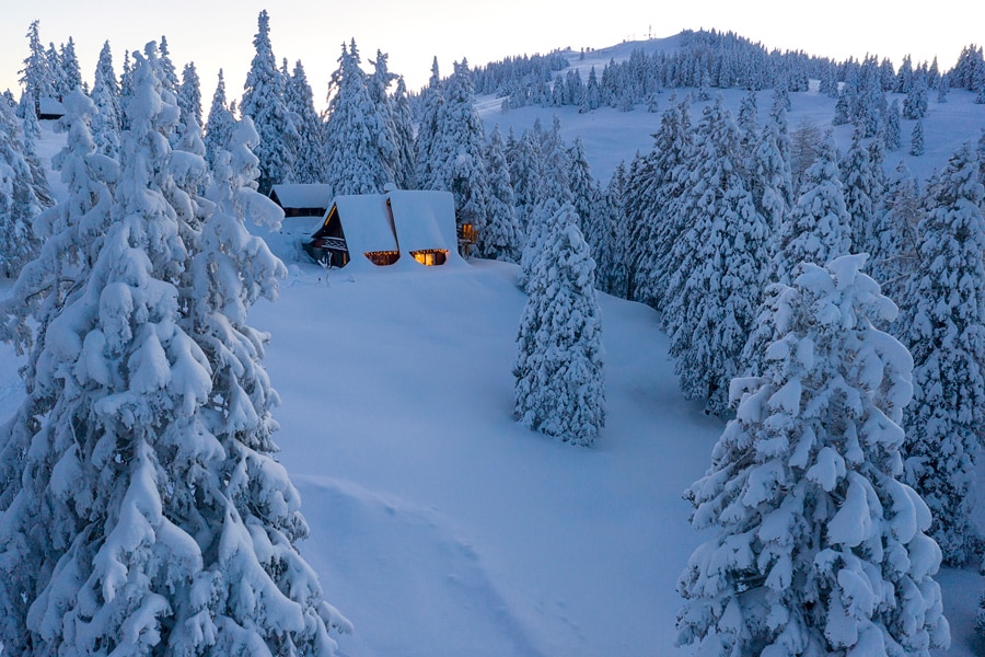A serene winter landscape features a cozy chalet nestled among snow-covered trees. Soft light emanates from the windows of the chalet, contrasting with the surrounding white snow and evergreen forest. A gentle slope leads through the tranquil scene, enhancing the sense of peaceful isolation.