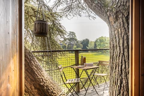 Treehouse 10 m away, "l 'Africaine"