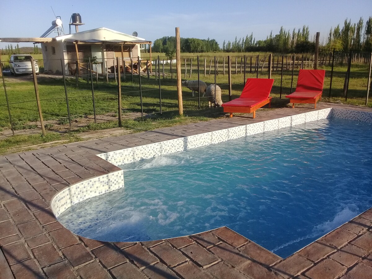 A sparkling pool is framed by a tiled deck, inviting relaxation. Two orange lounge chairs sit by the water's edge, surrounded by green grass and rustic wooden fencing. In the background, a simple building is set against a backdrop of trees and open fields.