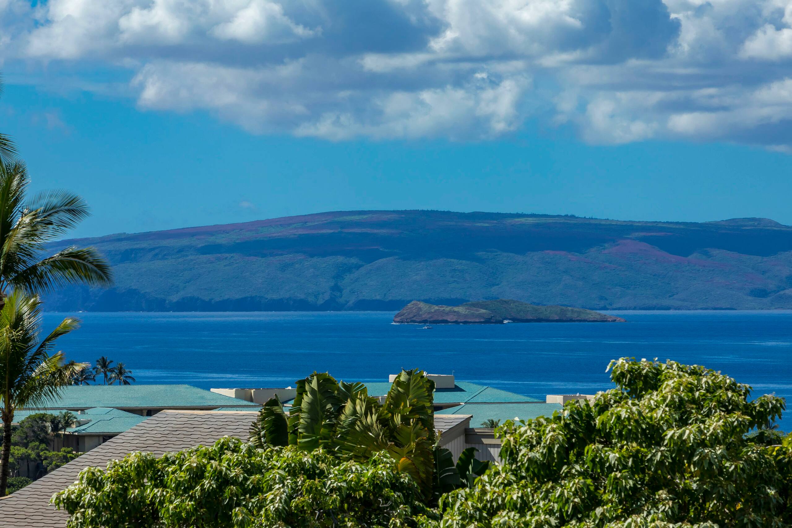 Condo in Wailea · ★4.85 · 2 bedrooms · 4 beds · 2 baths - Image 36