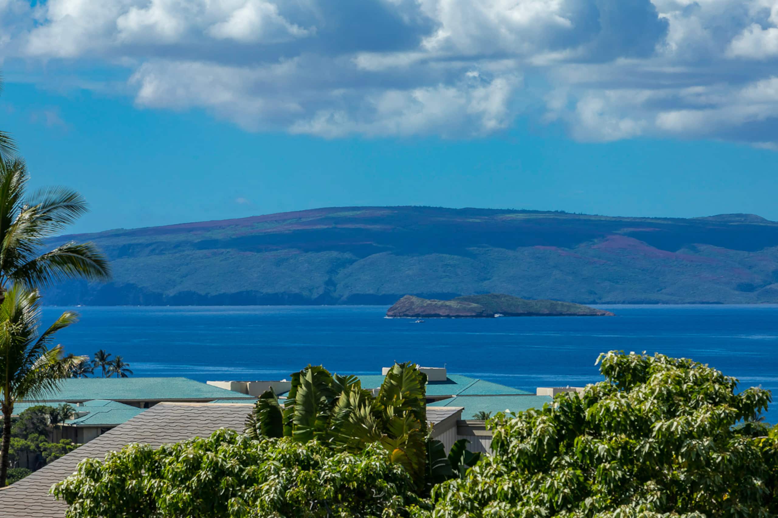 Condo in Wailea · ★4.85 · 2 bedrooms · 4 beds · 2 baths - Image 45