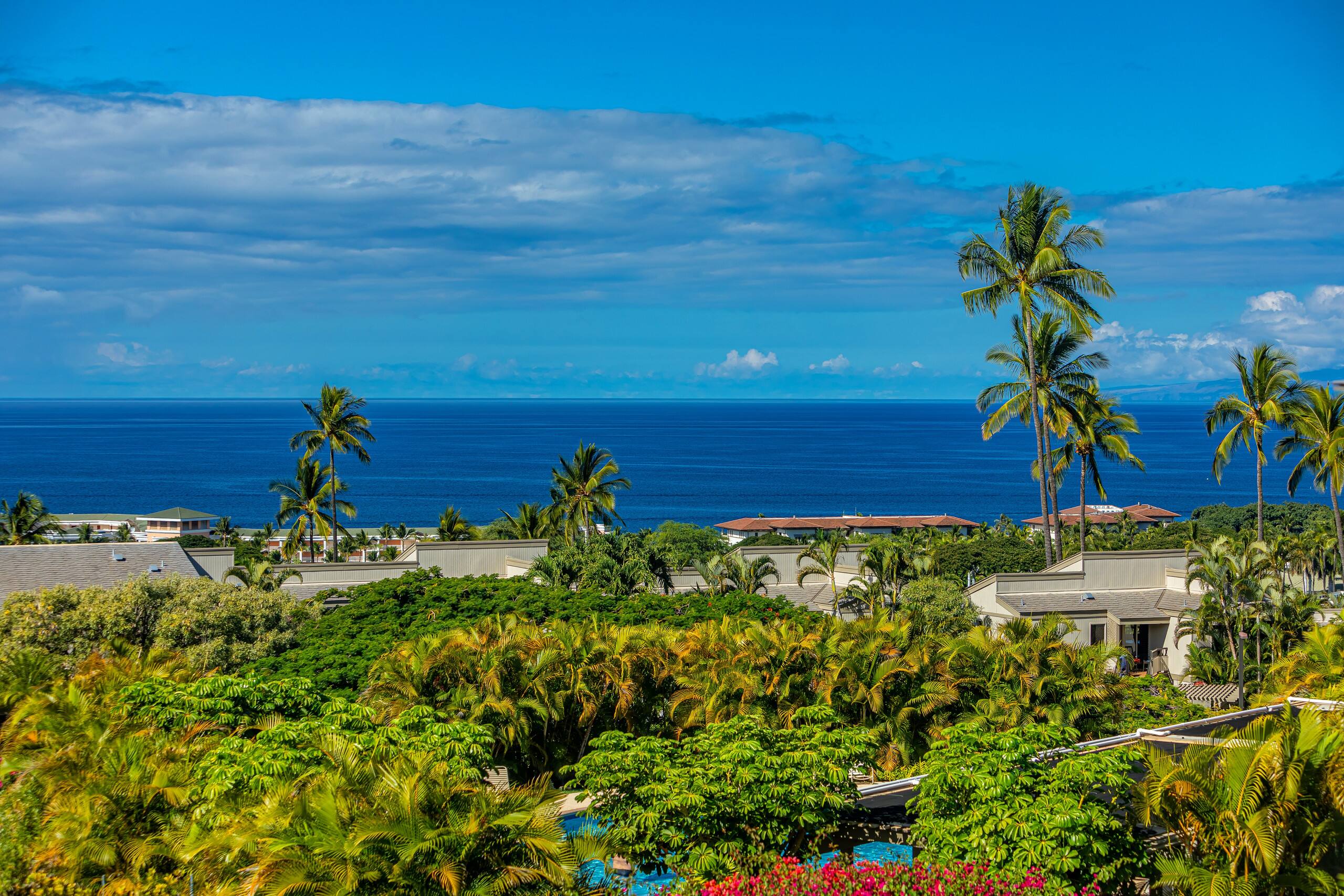 Condo in Wailea · ★4.85 · 2 bedrooms · 4 beds · 2 baths - Image 40