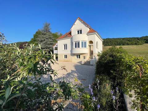 Beautiful villa with vineyard view, spa, petanque.