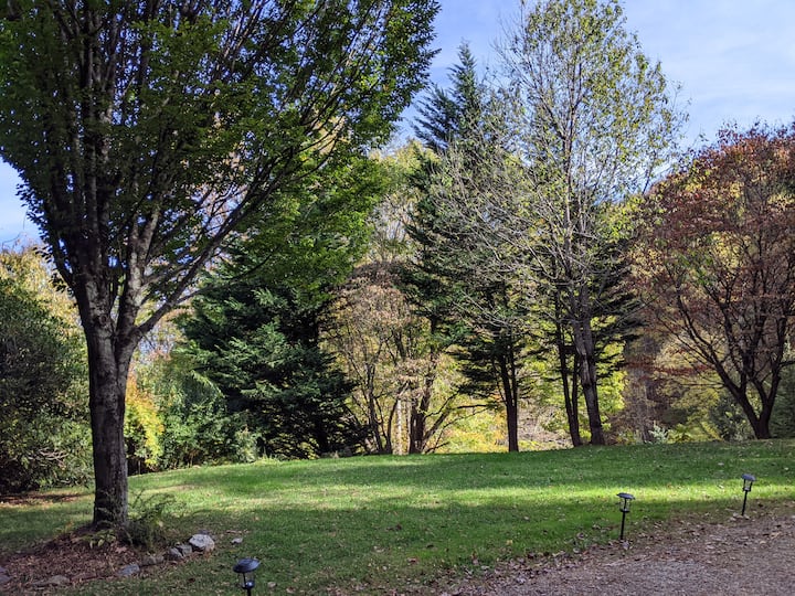 10 Best Airbnb Vacation Rentals In Waynesville, North Carolina