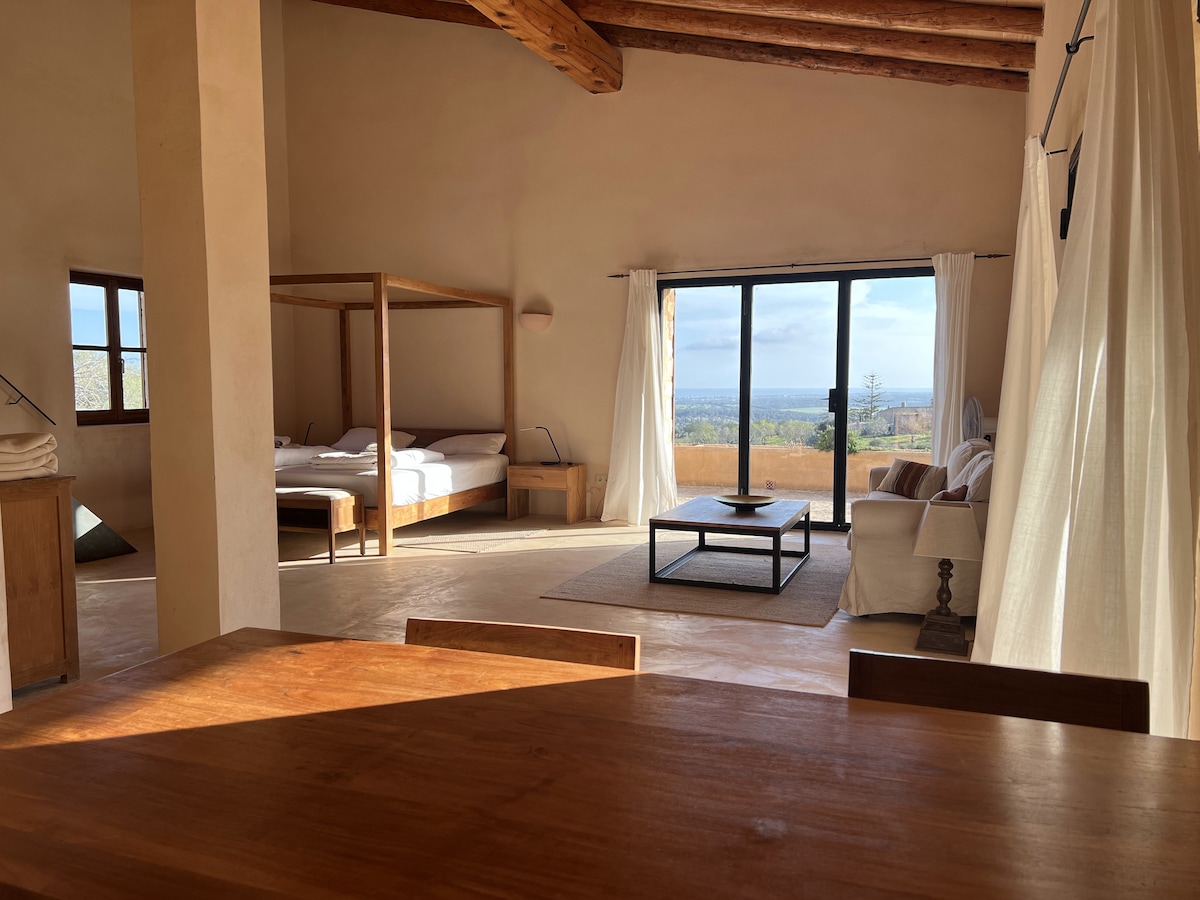 The view across the valley to an old neighbor's finca and the sea.
