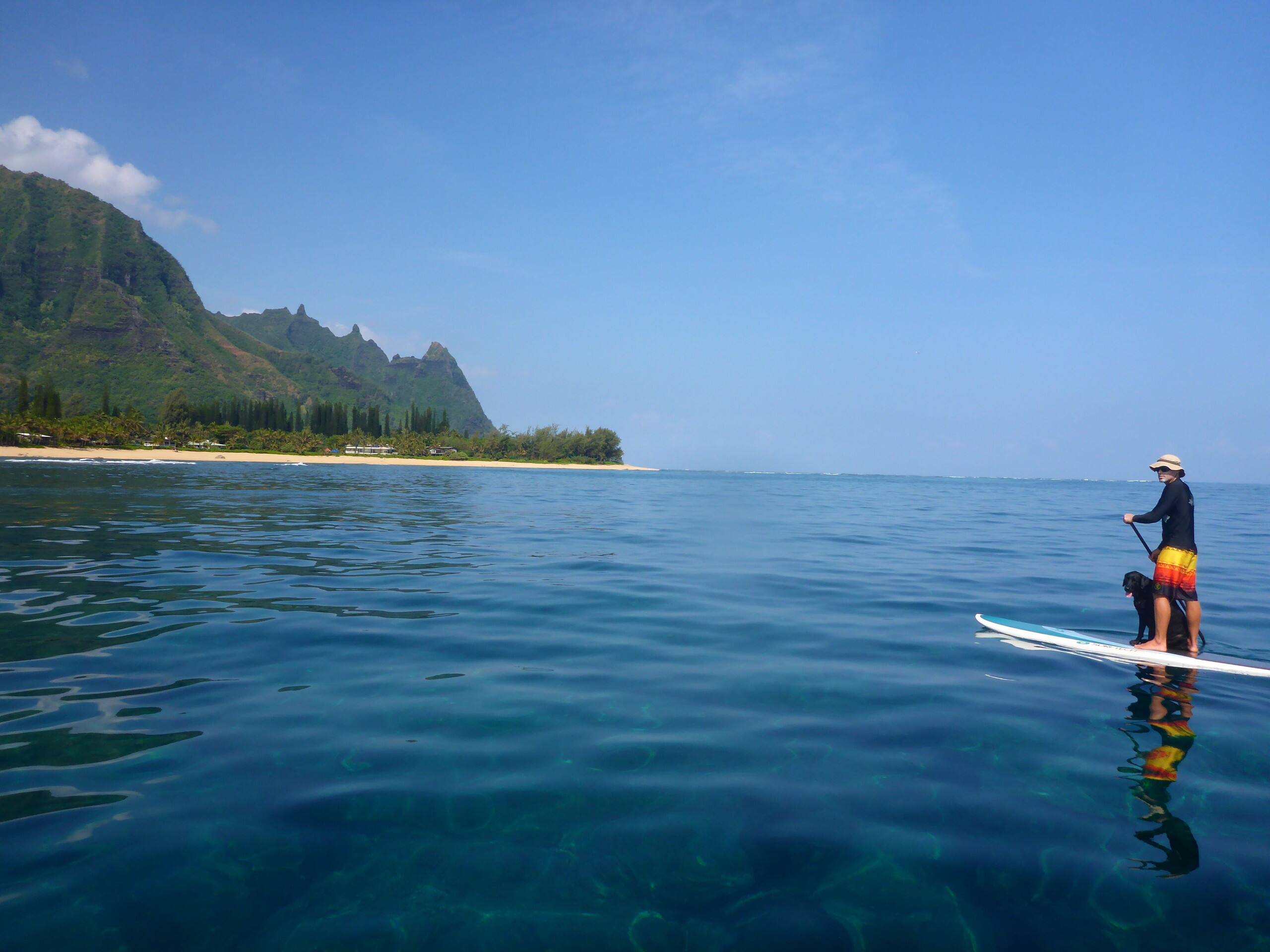 Home in Hanalei · ★4.97 · 3 bedrooms · 5 beds · 3 baths - Image 66
