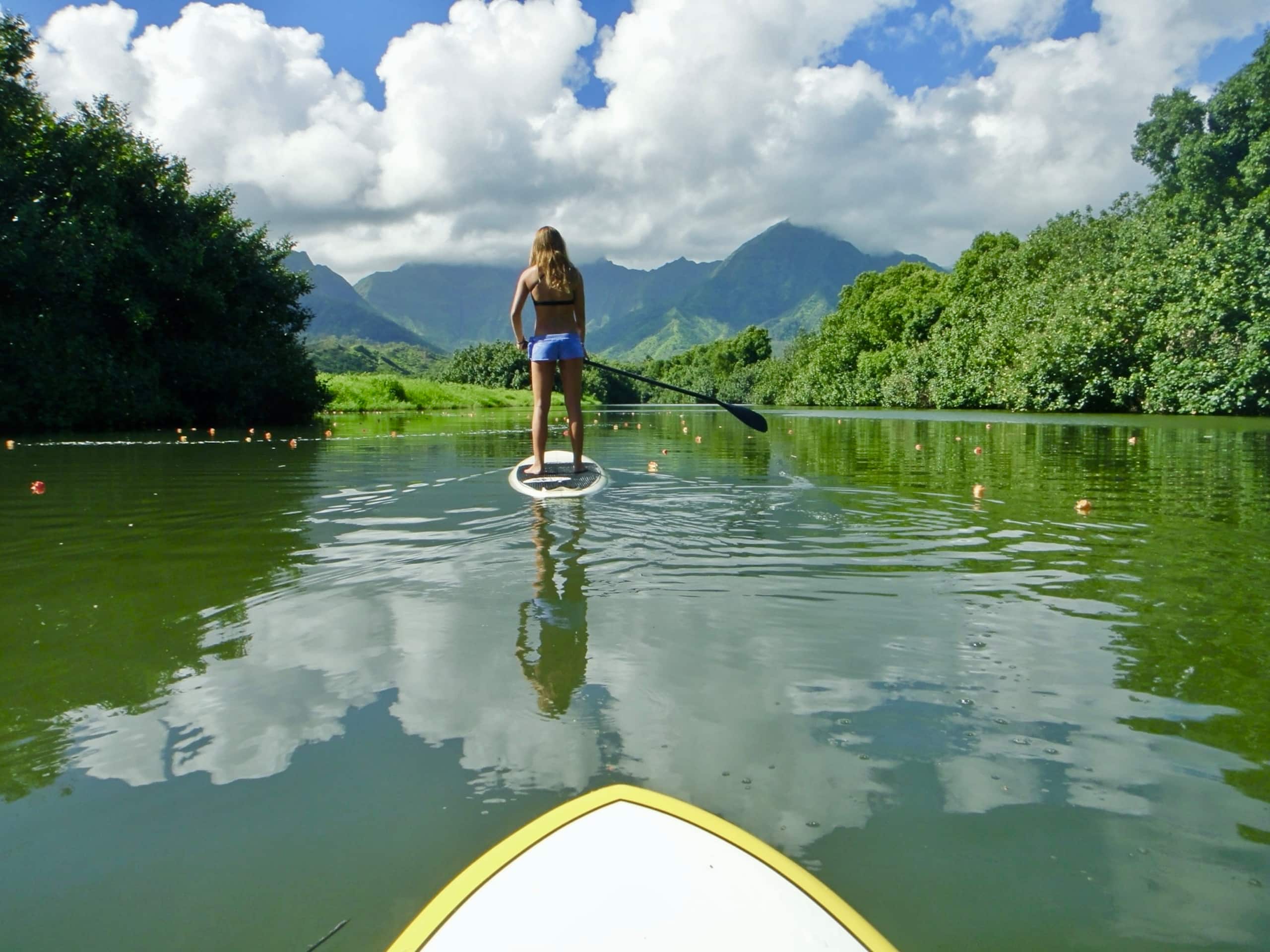 Home in Hanalei · ★4.97 · 3 bedrooms · 5 beds · 3 baths - Image 74