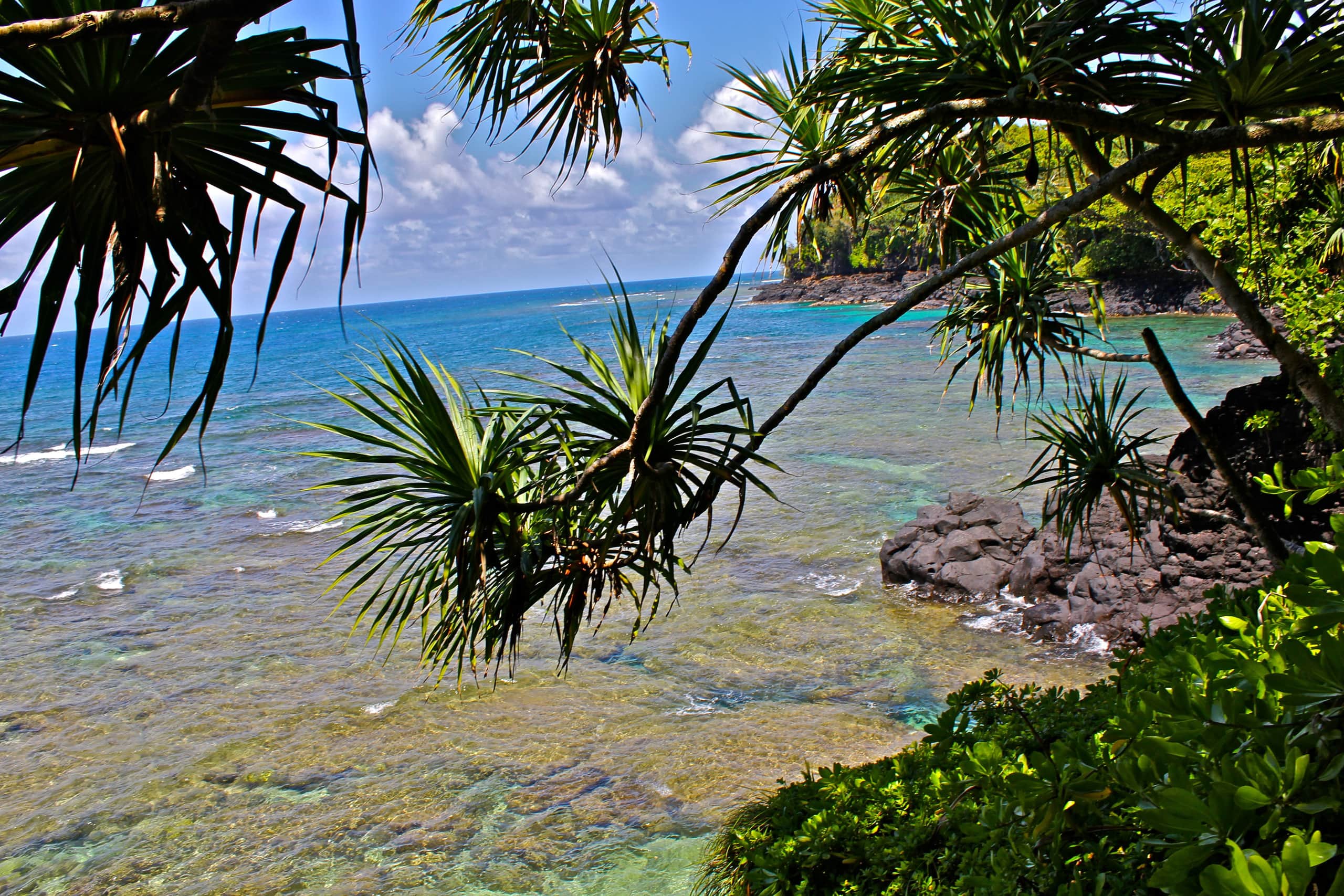 Home in Hanalei · ★4.97 · 3 bedrooms · 5 beds · 3 baths - Image 77