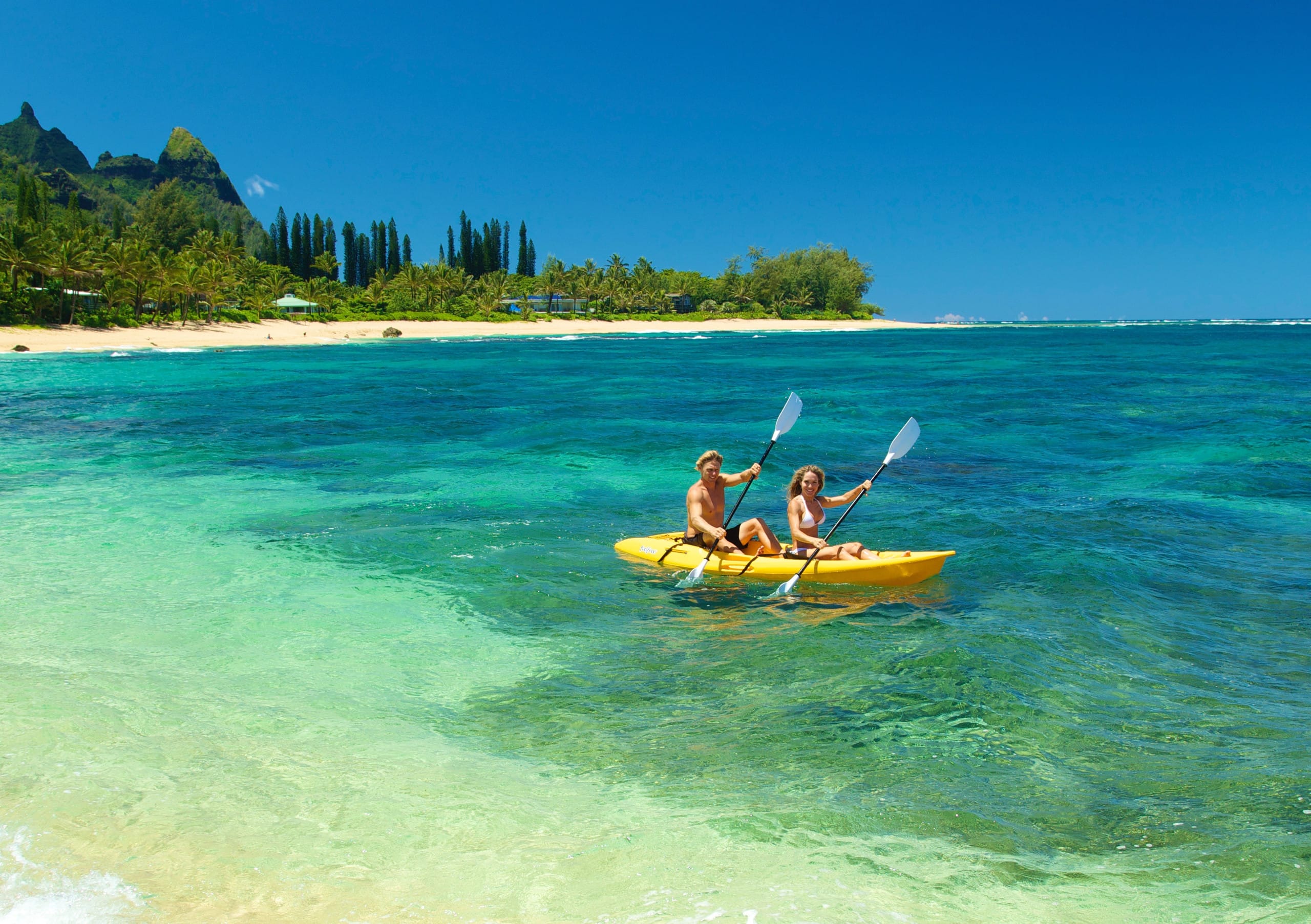 Home in Hanalei · ★4.97 · 3 bedrooms · 5 beds · 3 baths - Image 71