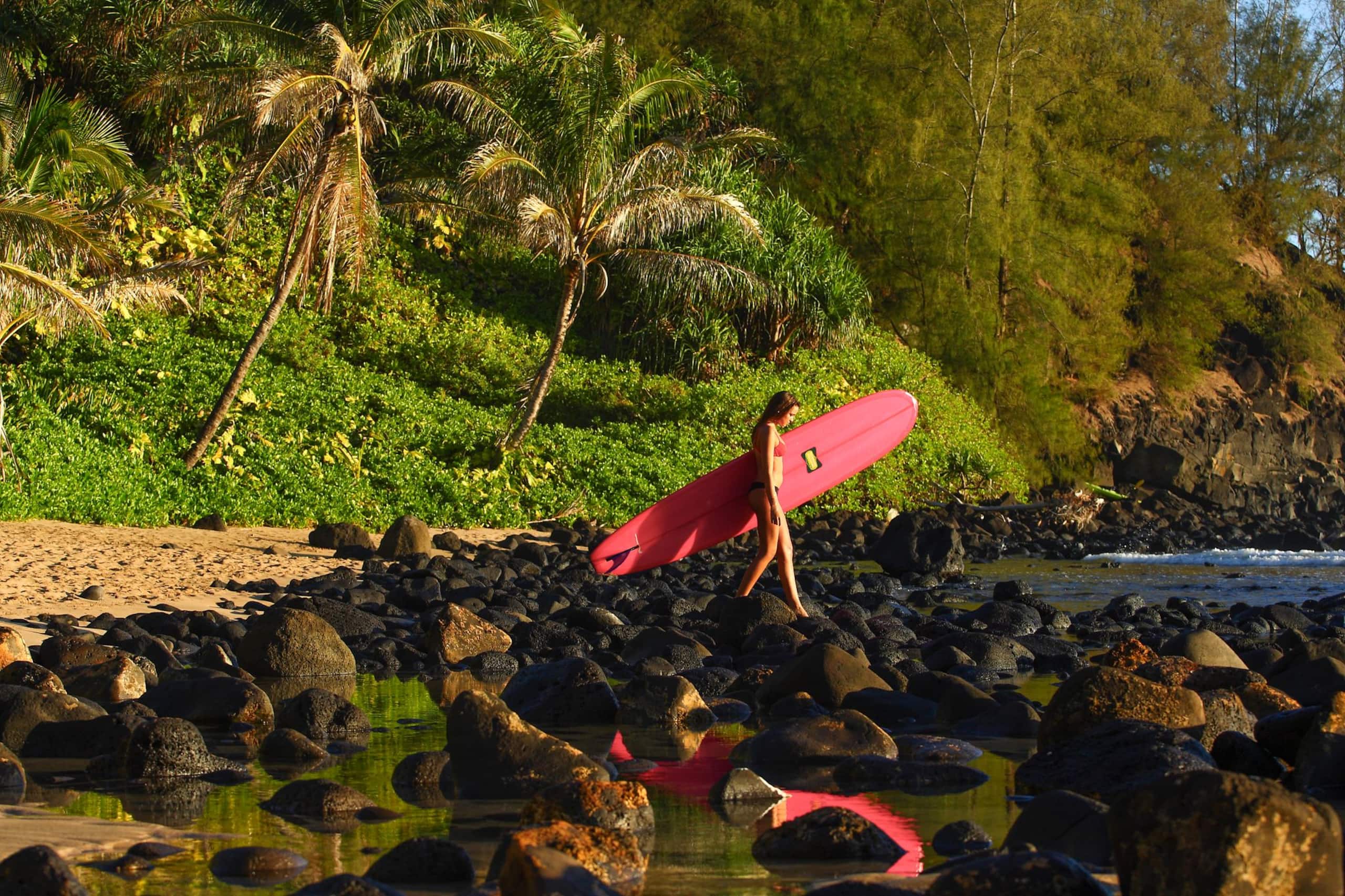 Home in Hanalei · ★4.97 · 3 bedrooms · 5 beds · 3 baths - Image 63