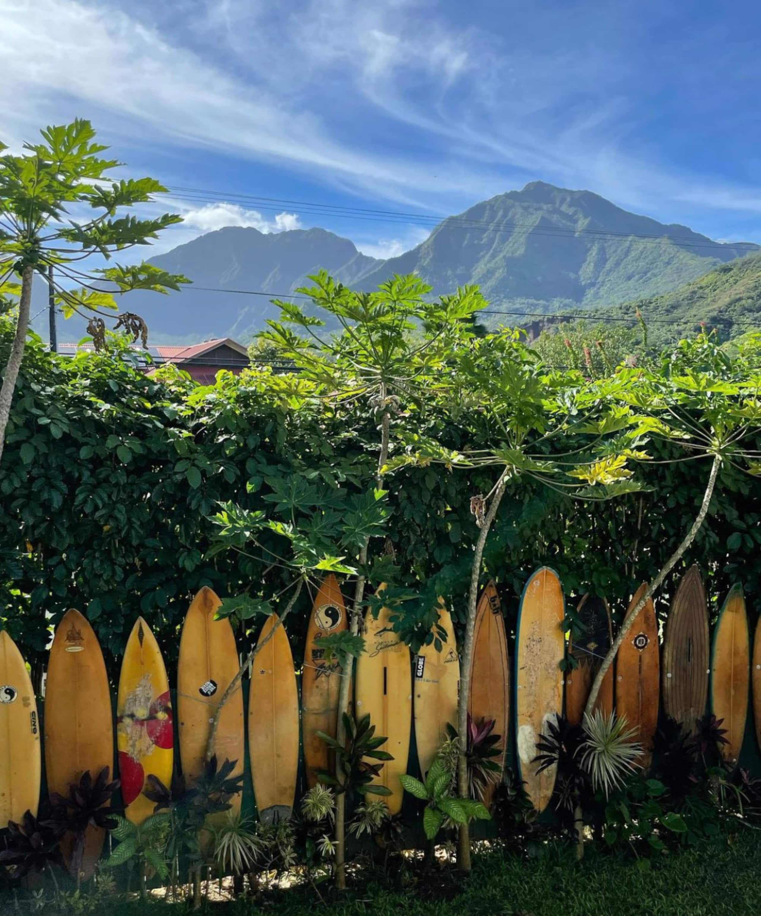 Home in Hanalei · ★4.97 · 3 bedrooms · 5 beds · 3 baths - Image 35